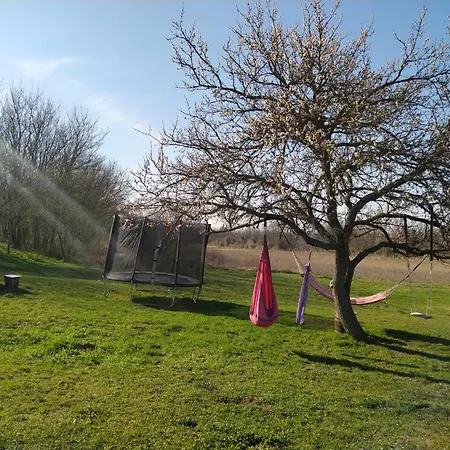 Quirky Park - Pool, Hot Tub, Cold Plunge, Sauna And Exclusive Party Feriehus